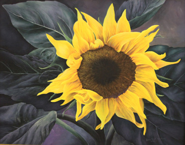 Single Sunflower 16x20